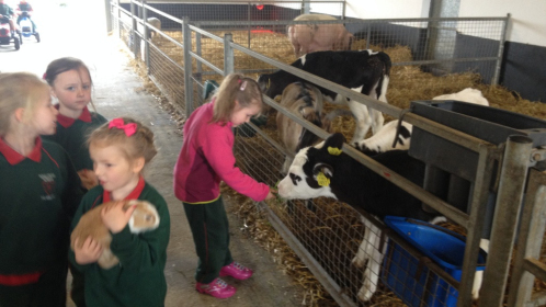 2014-05-30-09.32.25-Copy