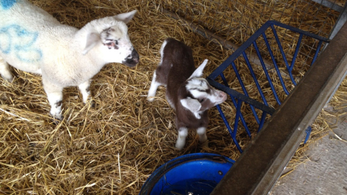 2014-05-30-09.36.57-Copy