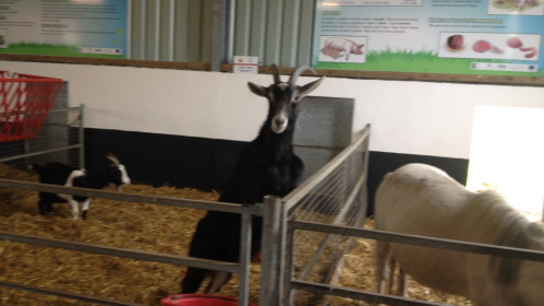 2014-05-30-09.40.43-Copy