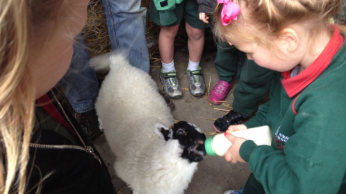 2014-05-30-10.22.49-Copy