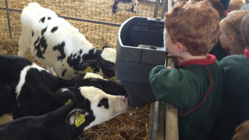 2014-05-30-10.27.44-Copy