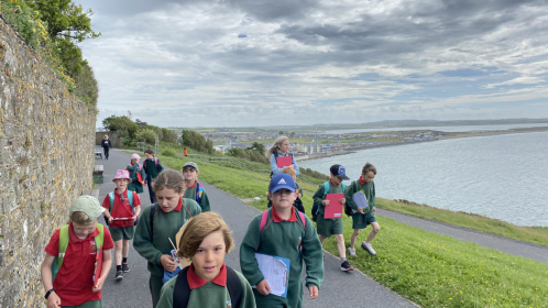 image-20210615-091708-30a3b40f