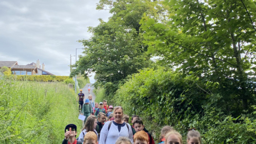 image-20210615-103031-b1632df5