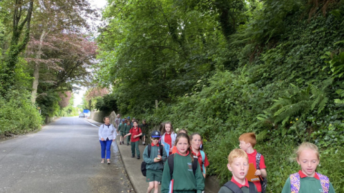 image-20210615-103215-02f5d739