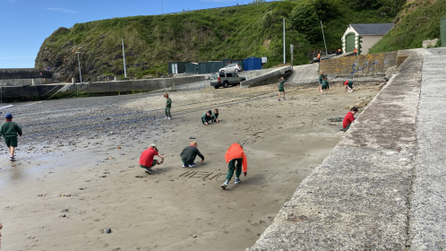 image-20210615-103632-77919687