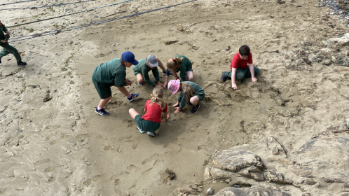 image-20210615-103740-fd329eaf