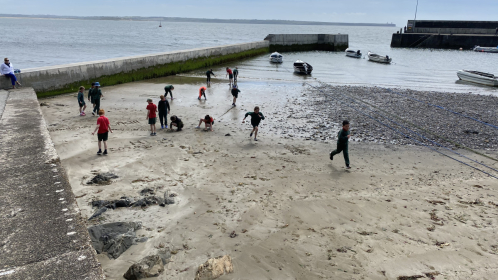 image-20210615-103744-98b2fd66