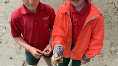 image-20210615-104019-89ef1393