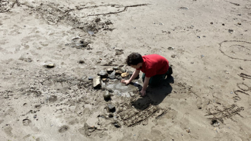 image-20210615-105042-f179c7a5