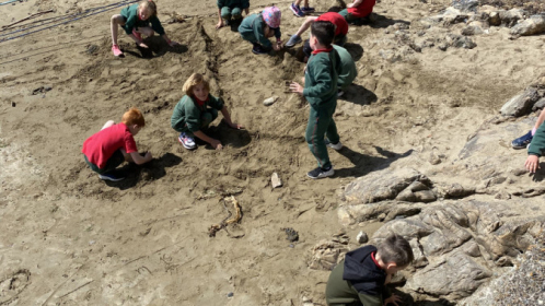 image-20210615-105439-78d190a7