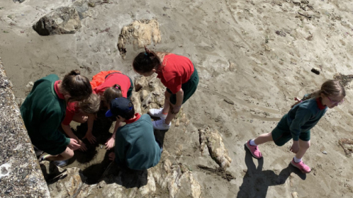 image-20210615-105443-b2fd356a