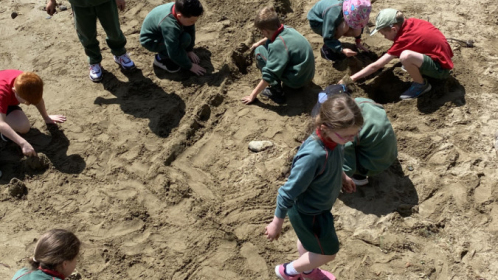 image-20210615-105452-4a8c4065