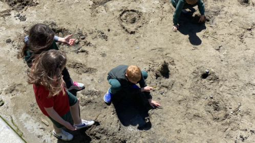 image-20210615-112342-299cf1f3