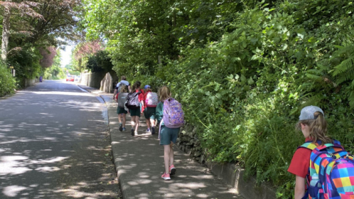 image-20210615-114548-49d88dd8