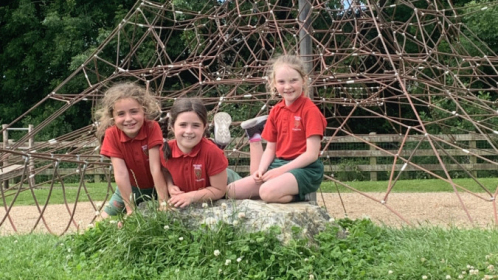 image-20220621-110556-24fa055d