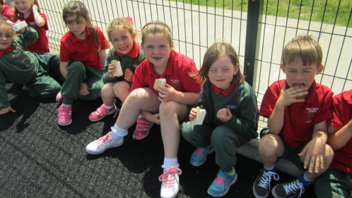 Senior-Sports-2015-012