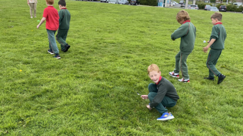 image-20210616-122557-2179876e