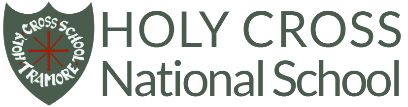 Holy Cross National School